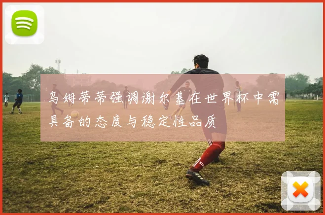 乌姆蒂蒂强调谢尔基在世界杯中需具备的态度与稳定性品质